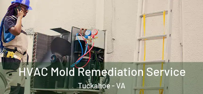  HVAC Mold Remediation Service Tuckahoe - VA