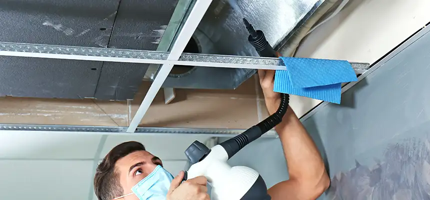 Our Air Duct Rodent Removal Services in Tuckahoe, VA