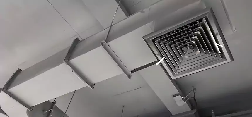 Restorative Allergy Relief Vent Cleaning – Coil, Blower & Housing Detail in Tuckahoe