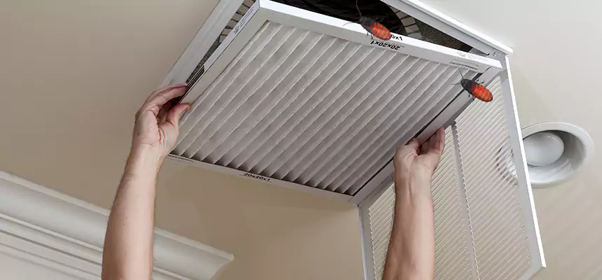 Our Insect Removal from Air Ducts Services in Tuckahoe, VA