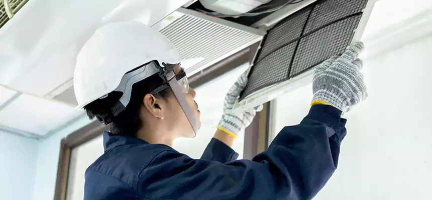 Our Mold & Mildew Removal from Air Ducts Services in Tuckahoe, VA