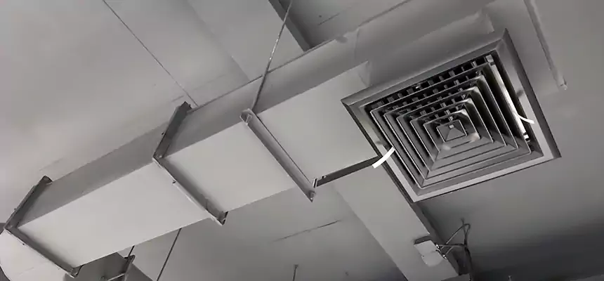 Our Pest Removal From Ducts Services in Tuckahoe, VA