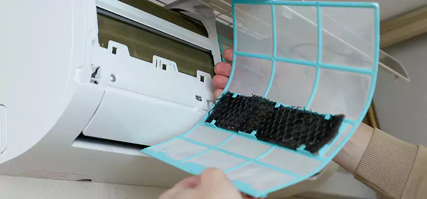 Gentle Ductwork Odor-Control Pet Dander Duct Cleaning in Tuckahoe, VA