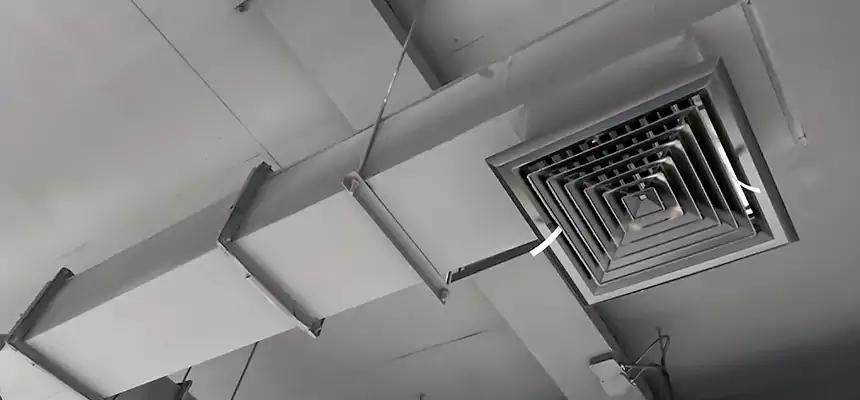 Our Rodent Droppings In Vents Services in Tuckahoe, VA