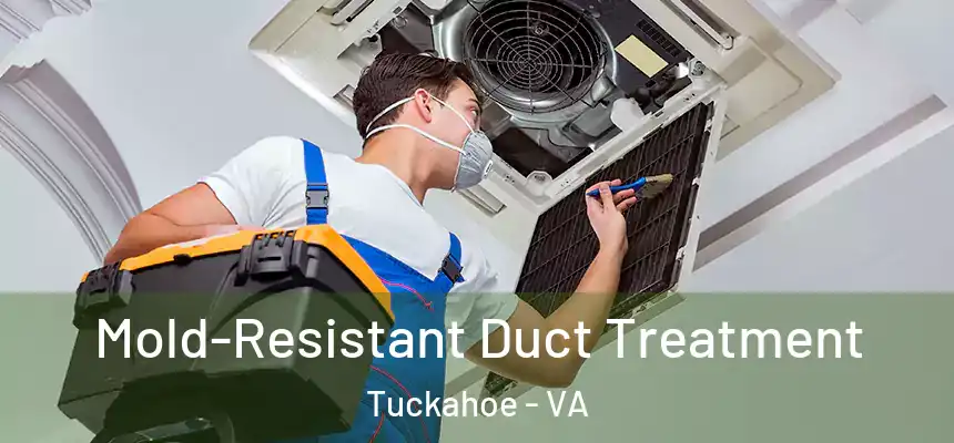  Mold-Resistant Duct Treatment Tuckahoe - VA