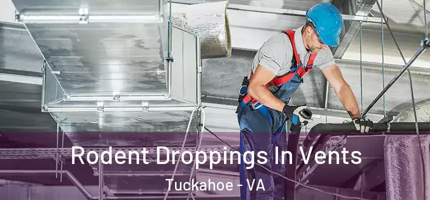 Rodent Droppings In Vents Tuckahoe - VA