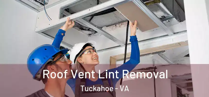  Roof Vent Lint Removal Tuckahoe - VA