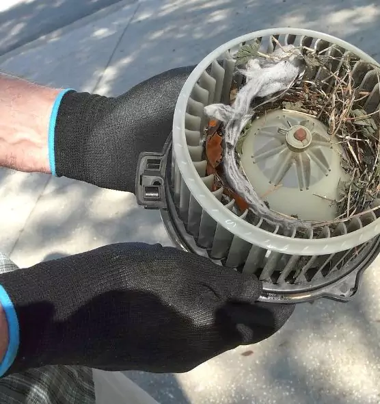 About Air Duct Mice Removal in Tuckahoe, VA