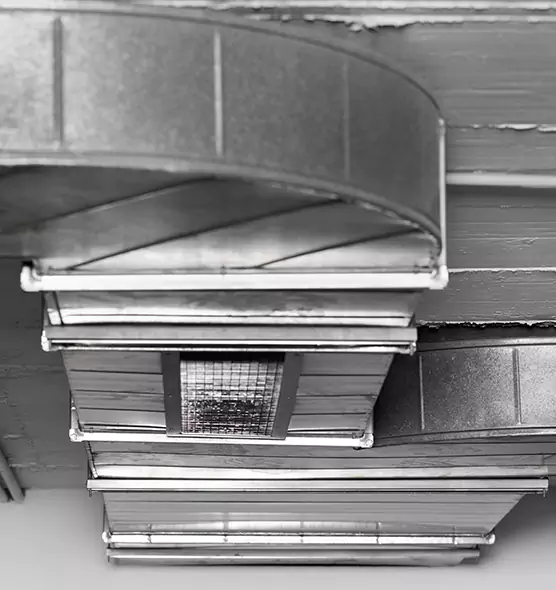 Professional Air Duct Pet Hair Removal in Tuckahoe, VA