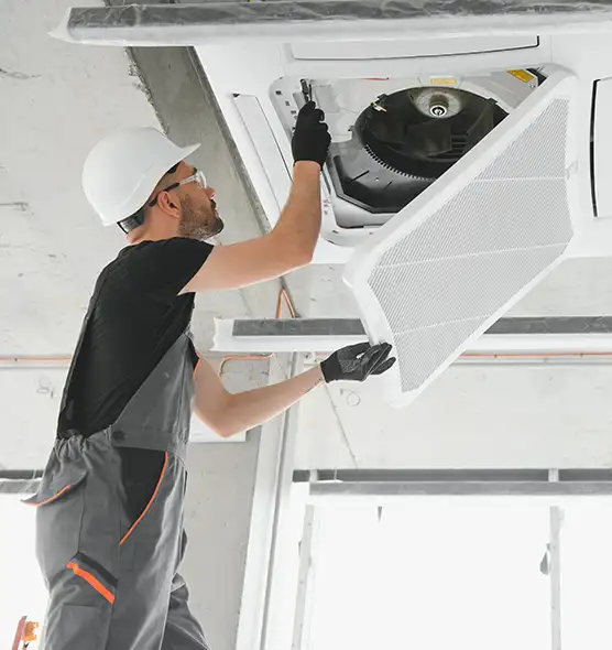 About Air Duct Rodent Removal in Tuckahoe, VA