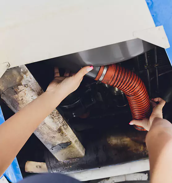 About Air Duct Virus Disinfection in Tuckahoe, VA