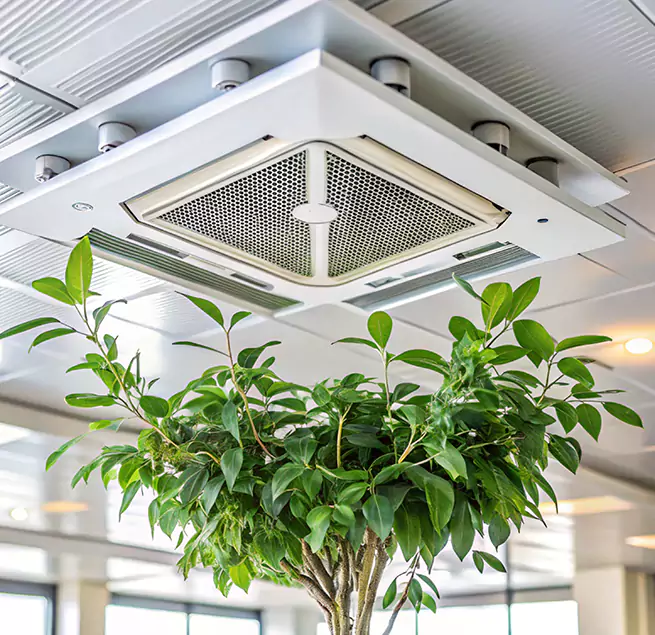 Why Homeowners & Businesses Trust Us in Tuckahoe, VA