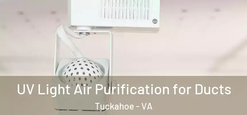  UV Light Air Purification for Ducts Tuckahoe - VA